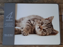 Set 4 placemats Poes